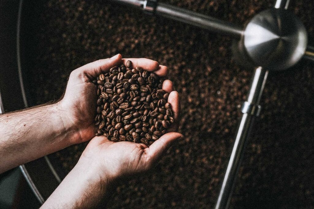Voyager Coffee beans held in two hands at the Penzance roastery, with the roasting drum and bean tray in the background